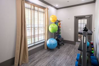 Gym equipment